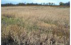 Property photo 31 - 80 Acres & Home - Property Offered in 4 Tracts from 2.3 to 30.0 Acres